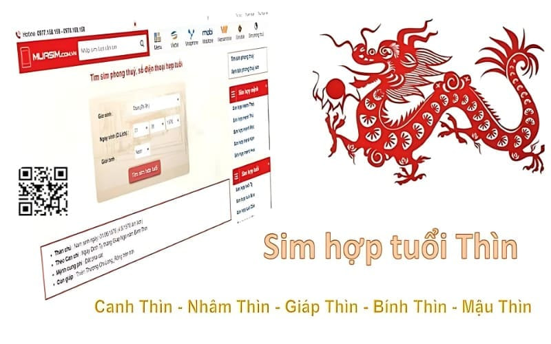 Tìm sim phong thuỷ hợp tuổi Thìn - Mua Sim